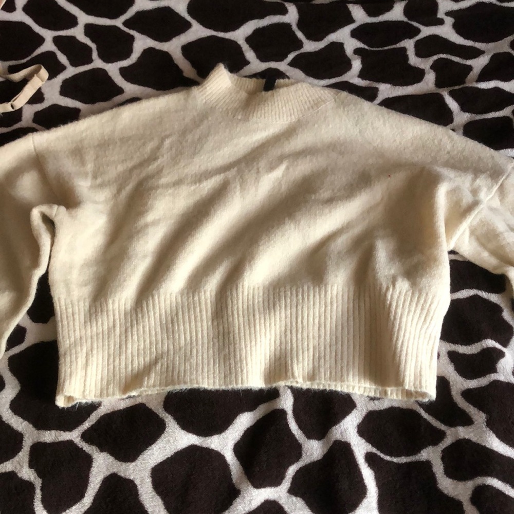 cropped sweatshirt